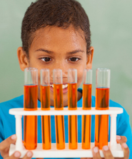 boy looking at his science experiment 